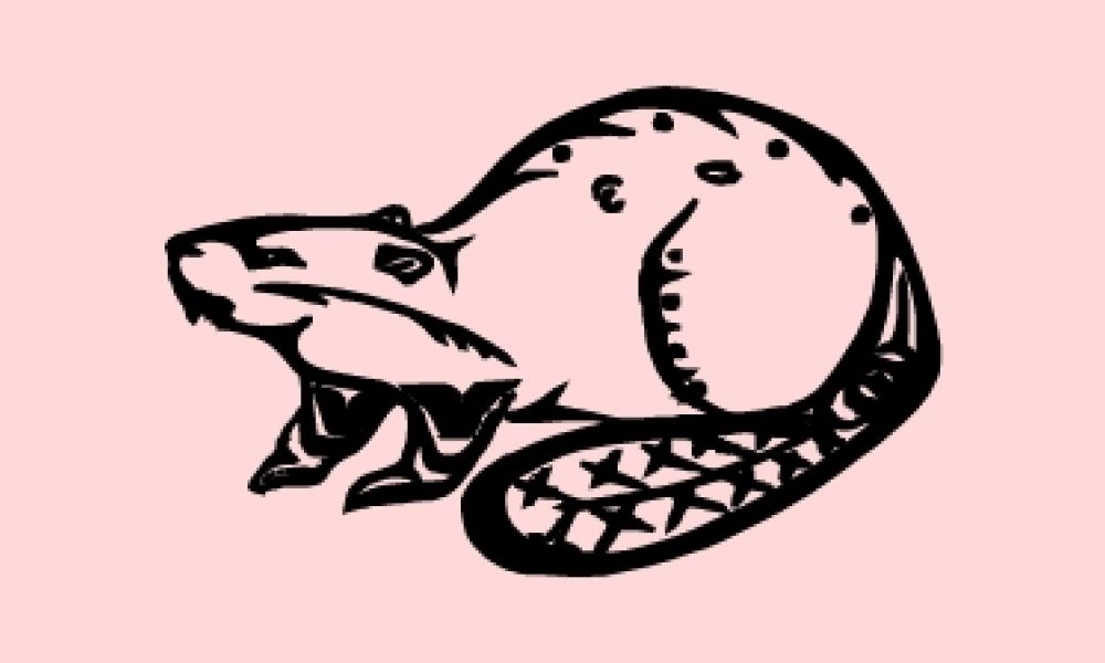 Graphic depiction of the Beaver clan symbol with a light pink background
