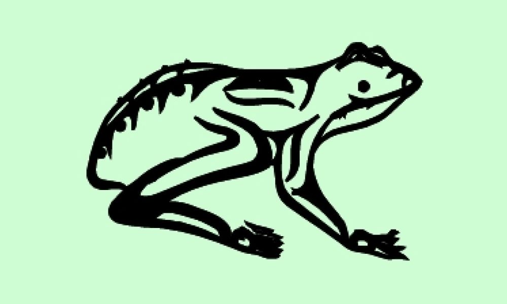 Graphic depiction of the Frog clan symbol with a green background