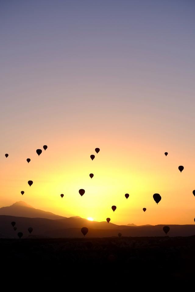 Test Image 