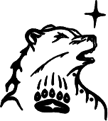 Illustration of a bear under a star